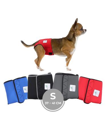 Sailing trousers for bitches 2.0 - dog diapers made of high -quality perforated neoprene for an optimal air exchange - dog diapers for male without the annoying threading of the rod (S -red) S red