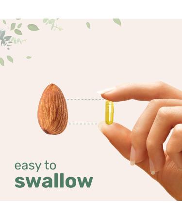 Micro Ingredients Apple Cider Vinegar Capsules | 4 800mg Per Serving 300 Counts | 4-in-1 ACV Complex with The Mother | Ceylon Cinnamon Cayenne Pepper & More | Immune Digestion & Appetite Support - Buy Online on GoSupps.com