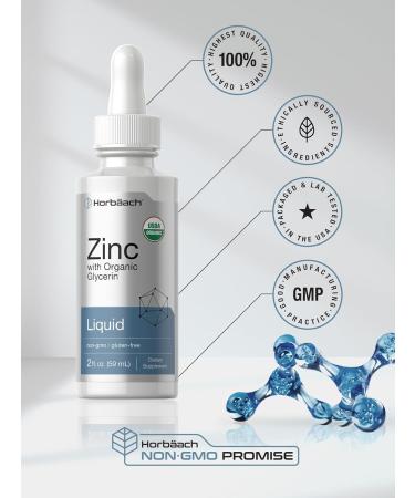 Horb ach Liquid Zinc Drops | 2 Oz | with Organic Glycerin | Vegetarian Non-GMO Gluten Free Supplement - Buy Online on GoSupps.com