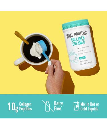 Vital Proteins Collagen Coffee Creamer - Dairy-Free & Low Sugar Powder with Collagen Peptides & MCTs - Coconut 293g - Buy Online on GoSupps.com