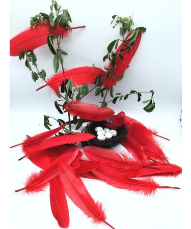 100pcs Red Goose Feathers 6-8 Inch - Ideal for Crafts, Wedding Decor, Clothing Accessories - Buy Online on GoSupps.com