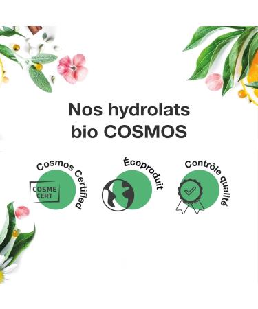 VOSHUILES - Hydrolat de Tea Tree COSMOS - Eau Florale Arbre Th Purifiante et Apaisante pour Soins de la Peau et Cheveux - 100% Pur et Naturel - 200 ml Tea Tree BIO 200 ml (Lot de 1) - Buy Online on GoSupps.com