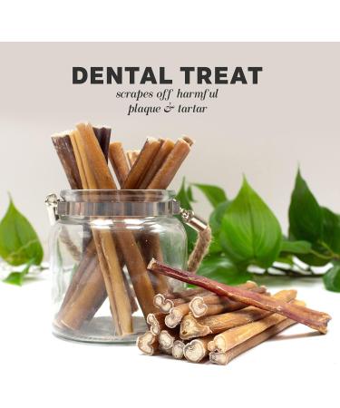 Downtown Pet Supply 6-inch Bully Sticks for Dogs Pack of 10 - Single Ingredient Nutrient-Rich and Odor Free Bully Sticks for Dogs - Rawhide Free Dog Chews Long Lasting and Non-Splintering - Buy Online on GoSupps.com