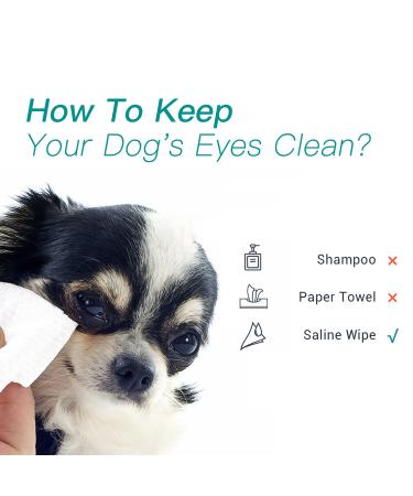 Winner Unscented Baby Saline Wet Wipes - 70 Count, Sterilized, 100% Cotton, Multi-Purpose for Sensitive Eyes and Face - Large Size 5.9 x 7.9 - Buy Online on GoSupps.com