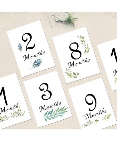 POWER FLOWER 16 Pcs Monthly Baby Milestone Cards - Perfect Gift Sets for Newborns - Buy Online on GoSupps.com