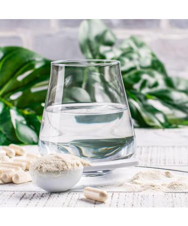 Buy Effective Nature Bio Inulin - 270 Vegan Capsules | 100% Pure Organic Inulin | 5g High Dose Daily | Natural Agave Source - Buy Online on GoSupps.com