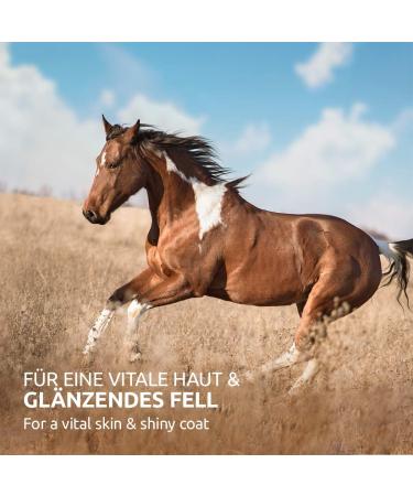 AniForte Coat Strength for Horses 1.5 kg Shiny & Resistant Bristle for Mane and Tail Vital Skin Supports Hair Growth & Metabolism Rich in Vitamin C - Buy Online on GoSupps.com