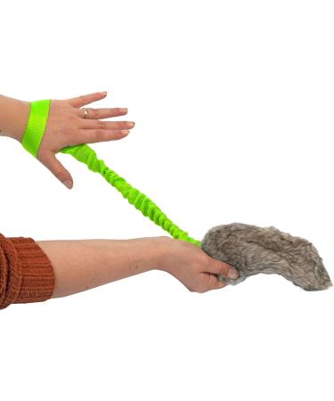 Dingo Dog Toy - Squeaky Fur Green Bungee Handle Tug & Training Game for Dogs | Fleece Mop Sausage 15584-2 - Buy Online on GoSupps.com