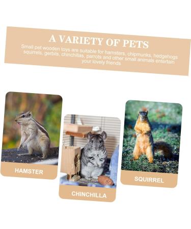 SEWOART Pet Saline Animals Salt Licking Brick Small Pets Lick Salt Hamster Salt Mineral Block Mineral Saline - Buy Online on GoSupps.com