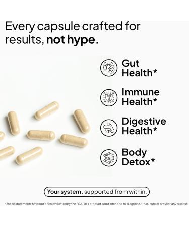 Humming Herbs Sodium Butyrate+ Capsules 4-in-1 Digestive Support with L-Glutamine + Prebiotic Inulin + Probiotic Blend (10 Billion CFU) 120 Vegetarian Capsules 120 Count (Pack of 1) - Buy Online on GoSupps.com