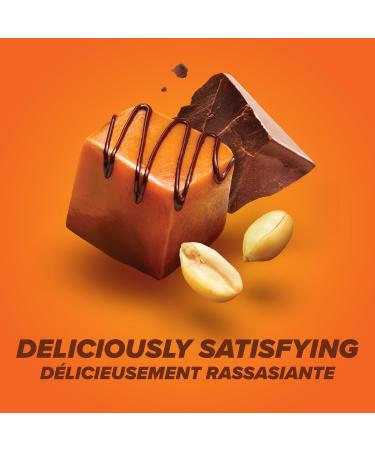 Pure Protein Bars - Nutritious Gluten Free protein bar & Bars - Nutritious Gluten Free protein bar - Buy Online on GoSupps.com