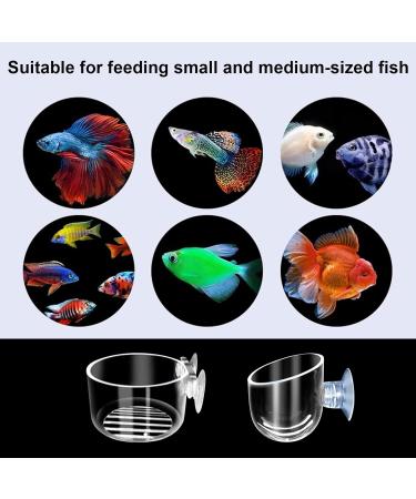 Vueinrg 8-Piece Aquarium Plant Pot Set - Decorative Glass Cups with Suction Cups for Shrimp Landscape Decor - Buy Online on GoSupps.com