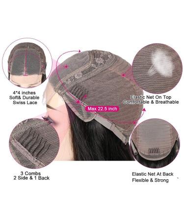 Wiggins Hair 20 Inch Grey Body Wave Lace Front Wig | Platinum Blonde Highlights | Gray Highlight Wig for Black Women - Buy Online on GoSupps.com