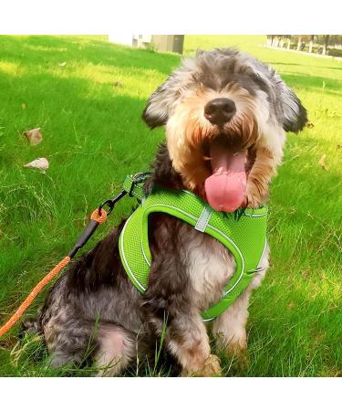 Joyal Dog Harness - Reflective Soft Padded Air-Mesh Breast Dishes for Small & Medium Dogs | Green L (47-55cm) - International Shipping Available - Buy Online on GoSupps.com