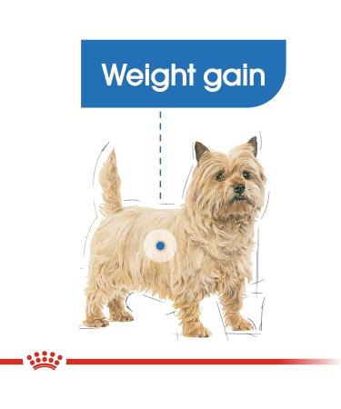 Royal Canin Light Weight Care Wet Adult Dog Food 85g (Pack of 12) Meat 85 g (Pack of 12) - Buy Online on GoSupps.com
