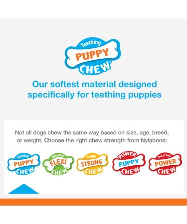 Nylabone Puppy Chew Toy Twin Pack - Medium Chicken Flavor Teething Toys for Puppies - Best Puppy Supplies (2 Count) - Buy Online on GoSupps.com