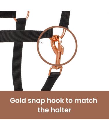 Buy Premium Neoprene Halter for Horses | Adjustable Stable Halter for Thoroughbred & Warmblood | Black/Rose Gold Cob Size - Buy Online on GoSupps.com