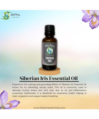 Organic Siberian Iris Essential Oil for Calming Aroma Diffuser Candle Making | Long - Lasting Housewarming Gifts Thanksgiving and Christmas 10ml 10ML (0.33 Fl Oz) 1 Fl Oz (Pack of 1) - Buy Online on GoSupps.com