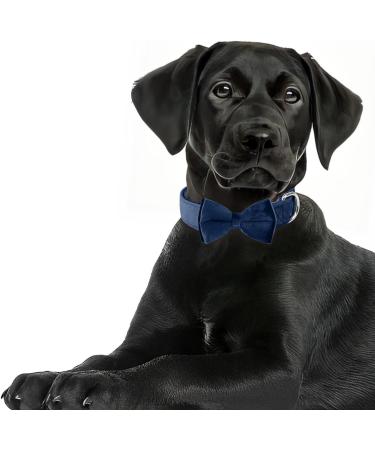 Shop Asvin Velvety Dog Collar - Soft Comfortable & Stylish with Removable Fly | Perfect for Weddings Birthdays & Parties - International Shipping Available - Buy Online on GoSupps.com