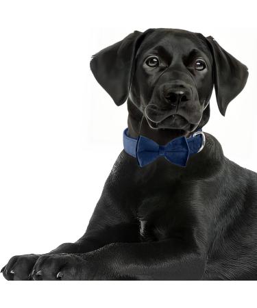 Shop Asvin Velvety Dog Collar - Soft Colorful & Comfortable with Removable Fly for Weddings & Parties | International Shipping - Buy Online on GoSupps.com