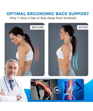 Back Brace for Men and Women Back Support Belt for Lower Back Pain Relief Scoliosis Sciatica Herniated Disc Heavy lifting Lightweight Breathable Lumbar Support with Dual Adjustable Straps (Medium) - Buy Online on GoSupps.com