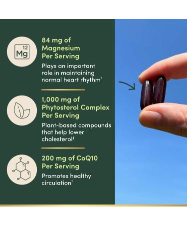 Nature s Bounty Advanced Vital Heart with CoQ10 + Magnesium Antioxidant Supports Healthy Blood Pressure Cholesterol Circulation Triple Action Formula CoQ10 Magnesium Supplement 60 Softgels 60 Count (Pack of 1) - Buy Online on GoSupps.com