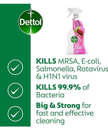 Dettol Power and Fresh Antibacterial Multipurpose Cleaning Spray Pomegranate & Lime 1L (Pack of 6) - Buy Online on GoSupps.com