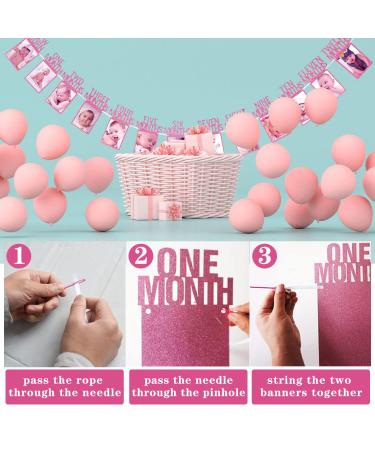 Rose Gold 1st Birthday Decorations for Girls | First Birthday Photo Gallery & Monthly Milestones (4x6 inch) - Buy Online on GoSupps.com