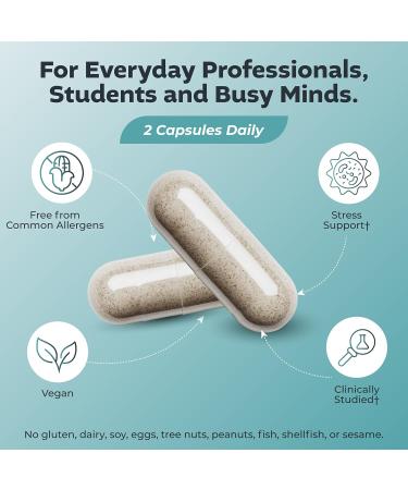 Big Valley Labs Advanced Stress Support Holy Basil Shoden Ashwagandha AlphaWave L-Theanine PharmaGABA Cacao Theobromine Calm & Clarity Formula Vegan Non-GMO Gluten-Free 60 Capsules - Buy Online on GoSupps.com