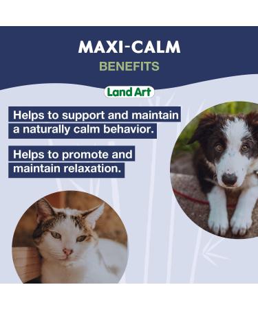 Pet Calming Supplement For Cats and Dogs Support and Maintain a Natural Calm Behaviour L-Theanine Passion flower and Valerian root 250ml GMO Free Gluten Free Sugar Free - Made in Canada - Buy Online on GoSupps.com