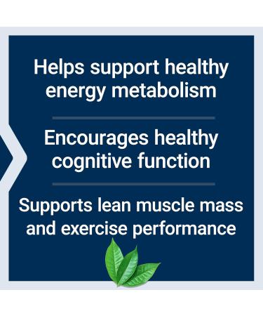 Life Extension Creatine Acetyl-L-Carnitine Energy Plus Energy Support Supplement creatine monohydrate Acetyl-L-carnitine Gluten-Free Non-GMO Vegetarian 30 Servings - Buy Online on GoSupps.com