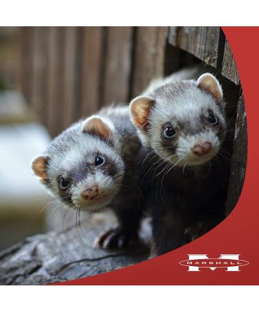 Marshall Pet Products Goodbye Odor Natural Deodorizing Water Supplement for Ferrets - 8 oz - Buy Online on GoSupps.com
