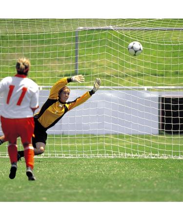 Aoneky Soccer Goal Net - 24x8 Ft Full Size Football Goal Post Netting - 2mm Cord - (Posts Not Included) - Buy Online on GoSupps.com