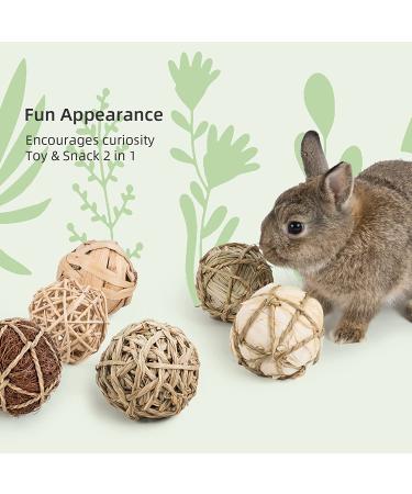 Small Animals Play Balls & Treats for Rabbits Guinea Pigs Chinchilla - Pack of 6 - Buy Online on GoSupps.com