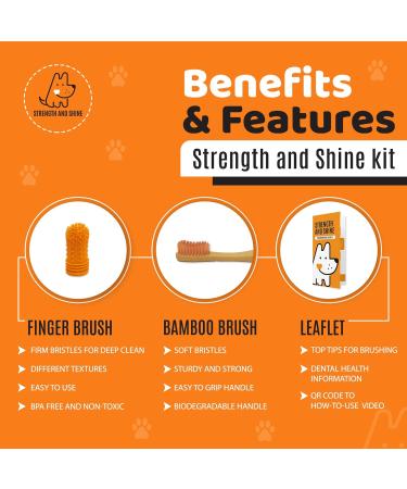 Strength and Shine Dog Toothbrush Dental Hygiene Kit - Online How-to Video Bamboo Brush Finger Brush and Storage Case Information Leaflet - Perfect for Dogs Easy to use and Durable - Buy Online on GoSupps.com