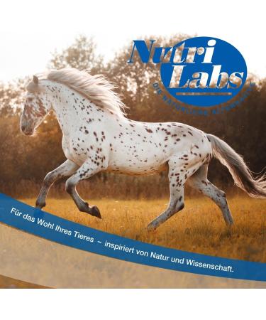 Nutrilabs Equimotion Joint Powder for Horses 1kg - Enhanced with Bitter Melon Rosehip & Artichoke for Optimal Joint Health - Buy Online on GoSupps.com