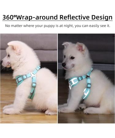 Rennaio No-Pull Dog Harness & Leash Set - Adjustable Ultra-Breathable Padded Chest Harness for Small & Medium Dogs - Cyan XL - Buy Online on GoSupps.com