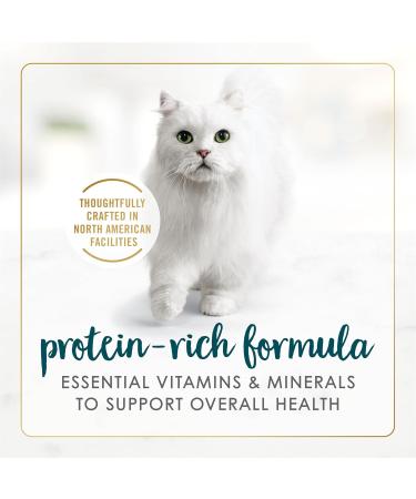 Fancy Feast Wet Cat Food Pate Salmon & Shrimp Feast - 85 g Can (24 Pack) - Buy Online on GoSupps.com