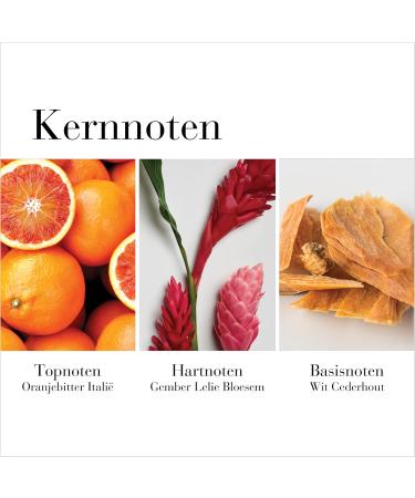 Elizabeth Arden Modern - Buy Online on GoSupps.com