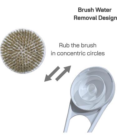 Selyback 17.8 Body Brush with Attachable Brush Cap - Boar Bristle - Water Removal Design - Buy Online on GoSupps.com