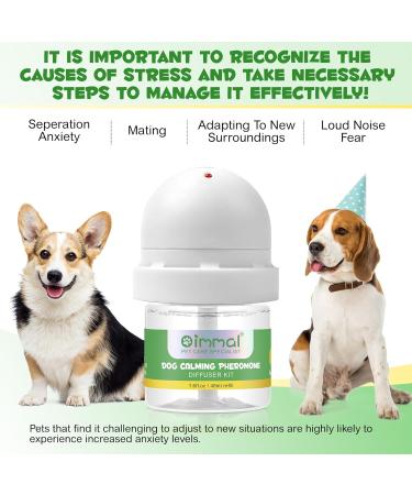 Dog Calming Pheromone Diffuser Kit Dog Pheromone Diffuser Effectively Relieve Anxiety Stress Dog Calming Diffuser Comfort for Dogs Reduce Stress Antiety and Tension ( 30-Days Diffuser & Refill ) - Buy Online on GoSupps.com