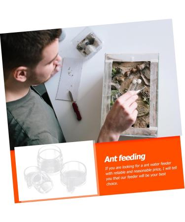 BESPORTBLE 2pcs Ant Water Feeder Mini Ant Feeder Ant Water Feeding Bowl Insect Water Feeder Transparent Acrylic - Buy Online on GoSupps.com