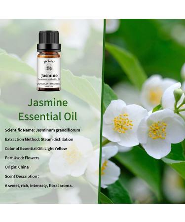 Yethious 4 Pack Essential Oil Set - Lavender Jasmine Vanilla Eucalyptus for Diffuser, Soap, Candles - Premium Aromatherapy Bundle - Buy Online on GoSupps.com