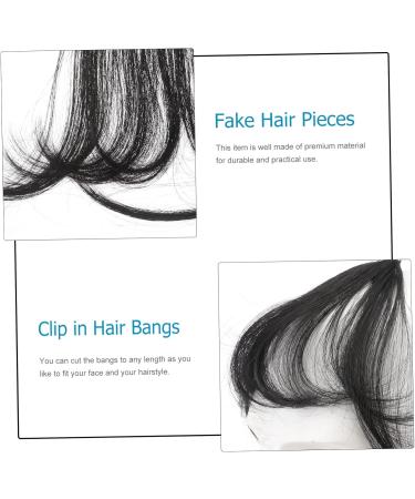 Didiseaon Piece Hair Clips for Women Hat Wigs for Women Braided Hair Clips Dark Brown Hair Extensions Hair Extensions Real Human Hair Clip on Fringe Hair Toppers for Women Xuchang Miss Bangs medium Black - Buy Online on GoSupps.com