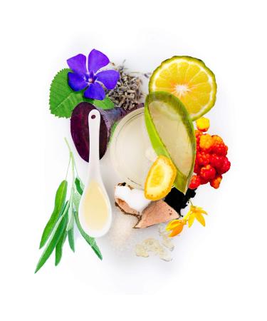 Red Flower Active Organic Milk Forest Purifier | Natural Eco-Friendly Solution for a Clean Home - Buy Online on GoSupps.com