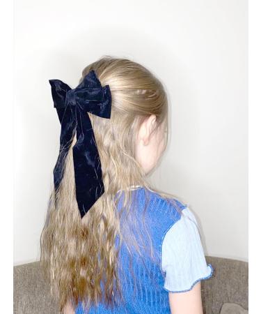 Generic Set of 2 Hair Bow Clips in Black Velvet Set of Clips for Girls Boys and Adults - Buy Online on GoSupps.com