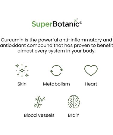 Super Botanic Curcumin Capsules 500mg - 60 Vegan Capsules | C3 Complex with Bioperine & Ginger Extract | 33,000mg Turmeric Equivalent | 100% Natural | Made in UK - Buy Online on GoSupps.com