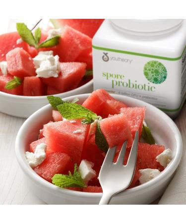 Youtheory Spore Probiotic Powder - Advanced 3.45 oz | No Refrigeration Needed - Buy Online on GoSupps.com