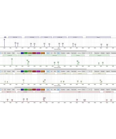 ExpressDNA Parentage Test Kit-All Lab fees Included-Results in 1 to 2 Days - Buy Online on GoSupps.com
