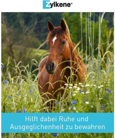 Vetoquinol Zylkene Equine | 20 x 4g | Dietary Supplement for Horses | May Help Reduce Undesirable Behavior of Horses in Unusual Situations - Buy Online on GoSupps.com
